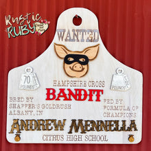 Load image into Gallery viewer, Livestock Stall Boards