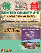 Load image into Gallery viewer, DRIVE THROUGH FLORIDA PART THREE