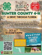 Load image into Gallery viewer, DRIVE THROUGH FLORIDA PART TWO