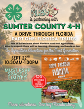 Load image into Gallery viewer, DRIVE THROUGH FLORIDA PART ONE
