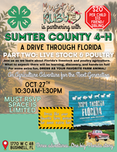 Load image into Gallery viewer, DRIVE THROUGH FLORIDA PART TWO
