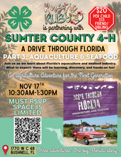 Load image into Gallery viewer, DRIVE THROUGH FLORIDA PART THREE

