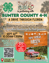 Load image into Gallery viewer, DRIVE THROUGH FLORIDA PART ONE

