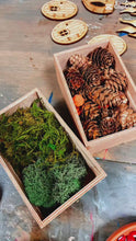 Load and play video in Gallery viewer, July 21 Fairy House &amp; Bird House DIY
